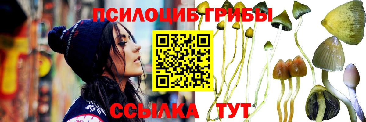 Галлюциногенные грибы мицелий Глазов